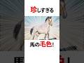 衝撃的すぎる馬の毛色4選!