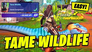 How to EASILY Tame Wildlife & Wildlife Locations - Fortnite Transformers Quest