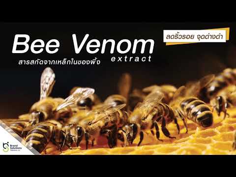 โรงงานรับผลิตอาหารเสริม สารสกัดจากธรรมชาติ สารสกัดเหล็กในของผึ้ง By Brand Solutions (Thailand)