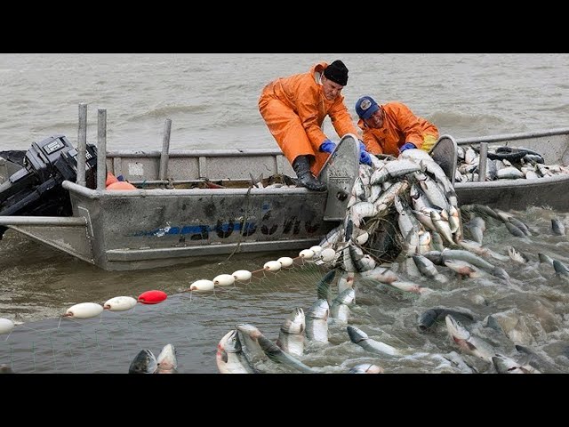 best saltwater spinning reels under 150 Van Staal VR Reel VR200 / Silver LB Test:80LB 0.45mm newarrival_20260622 Daiwa Saltwater Spinning Fishing They come from the