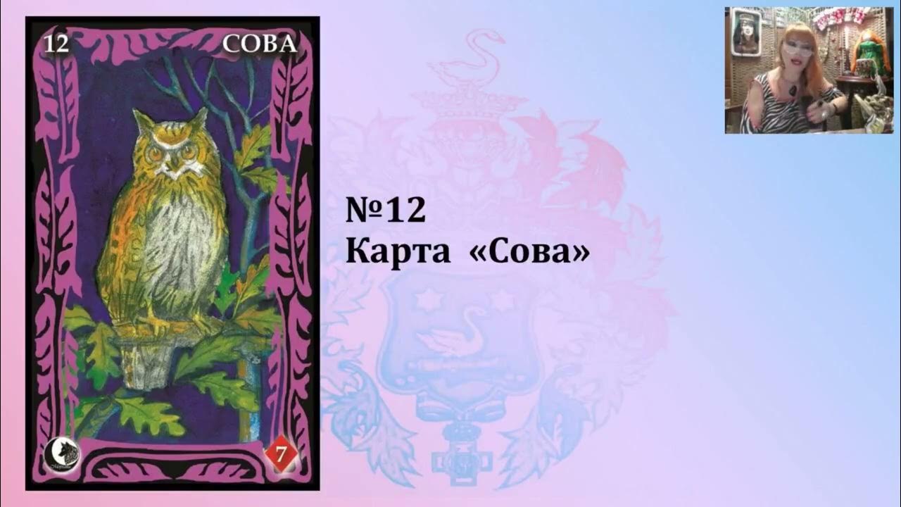 карта сов. карта совы ленорман. ленорман таро сова. карты ленорман птицы. карта сов.