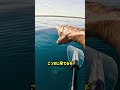 海の上で出会った巨大な生き物
