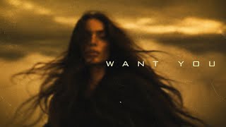 Ision - Want You ( Song)