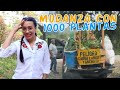 Mi mudanza con 1000 plantas: no se lo deseo a nadie 😩 │Candy Bu
