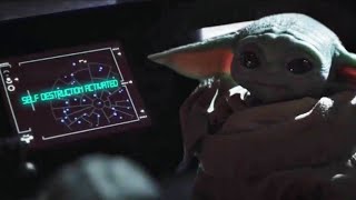Baby Yoda Touches Things...