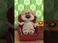 Messenger_creation_B4477002-0617-483C-B5DF-6518F2CB631B