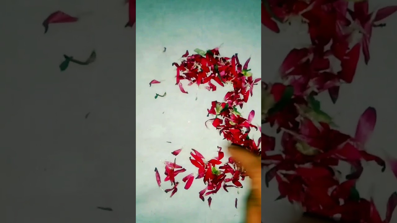 west flower use newborn 3month baby photoshoot ideas at home 