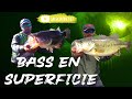 GRANDES BLACK BASS en SUPERFICIE | Pican basses Gordos!