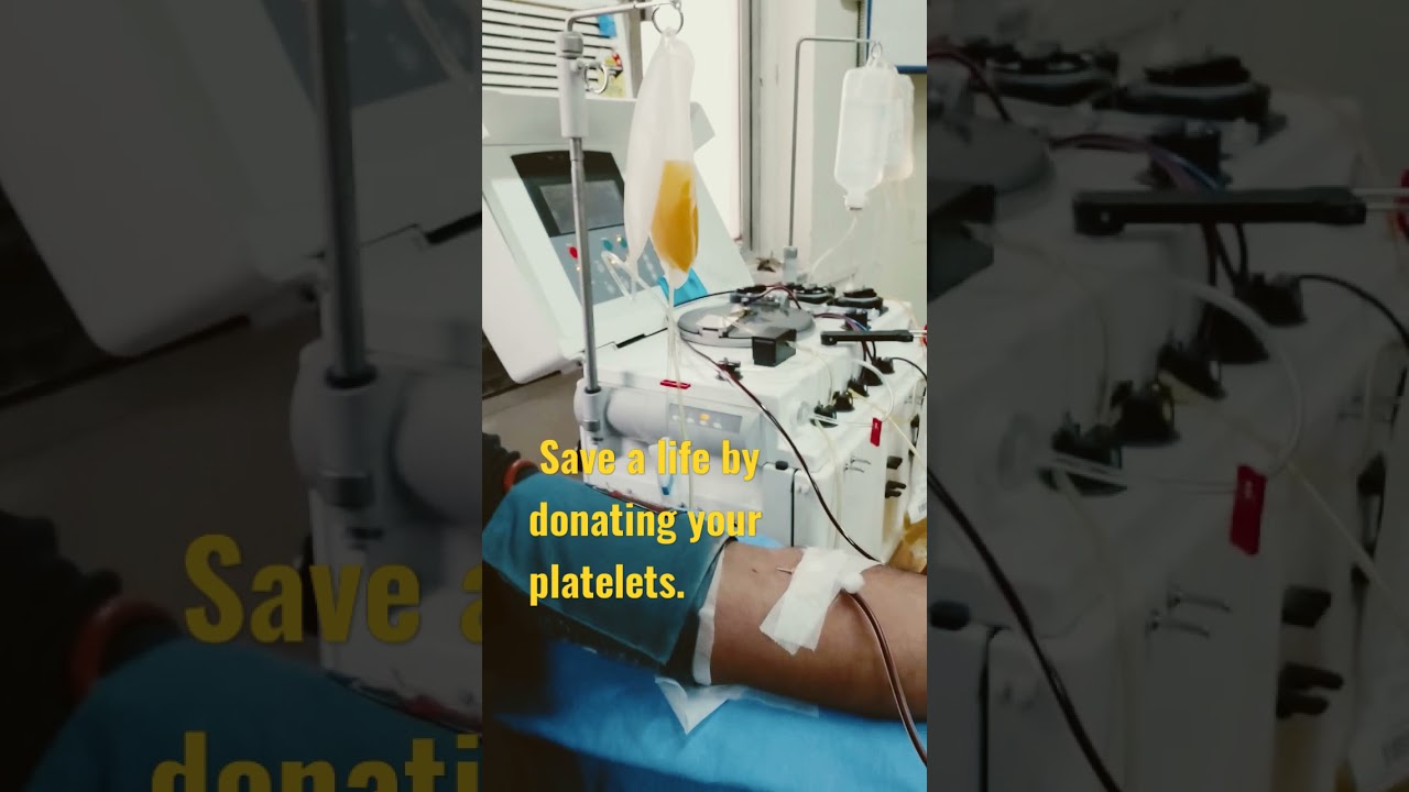 platelet donation : Celebrating 'week for life' by donating my platelets