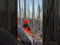 #hunting #washington #kids #deerhunting #shorts #shortvideo
