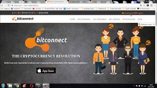 ATENTIE ! Bitconnect 131 $ PROFIT in 10 Zile