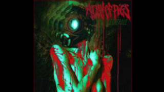 A Day of Pigs - How to Kill a Witch