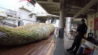 Pelagic Processing Factory