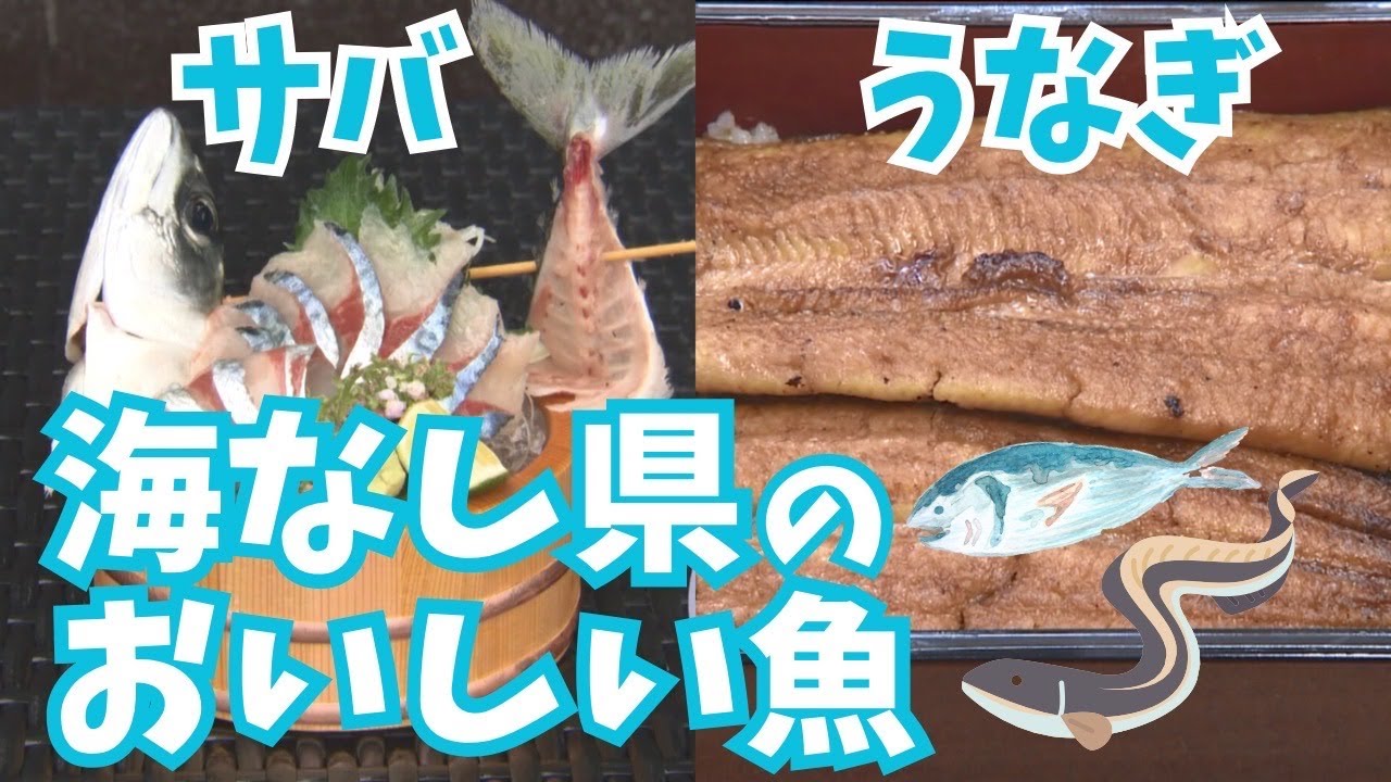 埼玉県産のサバ？うなぎ？海なし県でもお魚育ってます！【いまドキッ