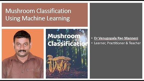Mushroom Classification Using Machine Learning