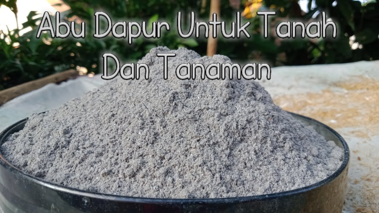 Manfaat Abu Dapur Untuk Tanah Dan Tanaman