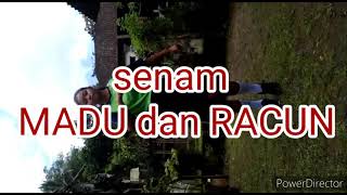 Download Lagu SENAM MADU DAN RACUN MP3