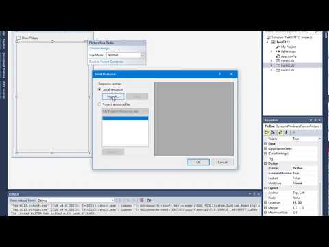 Show/ Hide Picture Box with Check Box using VB.Net
