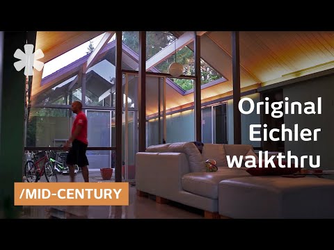 Video: Eichler'in Lalesi