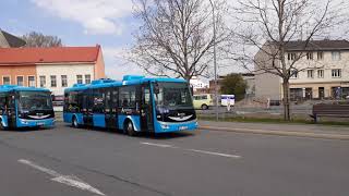 MVI 6833