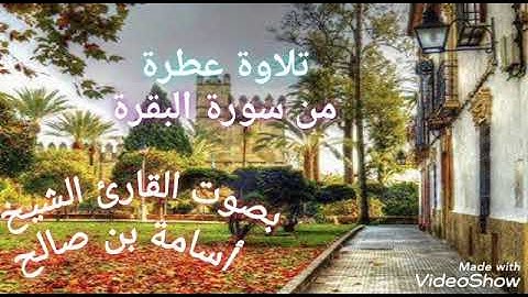 تلاوة عطرة من سورة البقرة بصوت القارئ الشيخ أسامة بن صالح