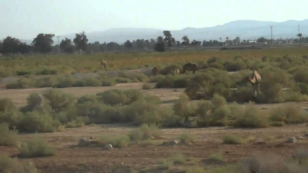 The Land sights in Palestine