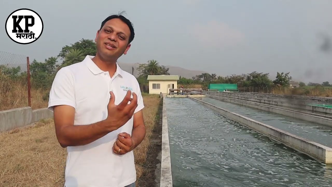 डोंगरी भागामध्ये स्पिरुलीना शेती केली १०० टक्के यशस्वी. उभा केला युवकांसाठी आदर्श. Spirulina Farm