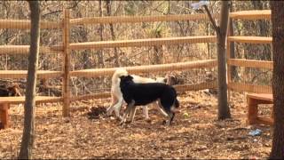 FOHA Buddies 2/12/2015