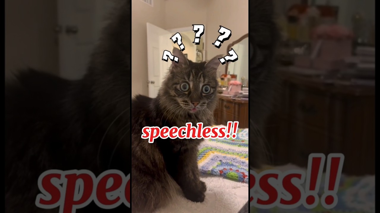 Top 5 Most Famous Singers Transformations! PART 2 😱 