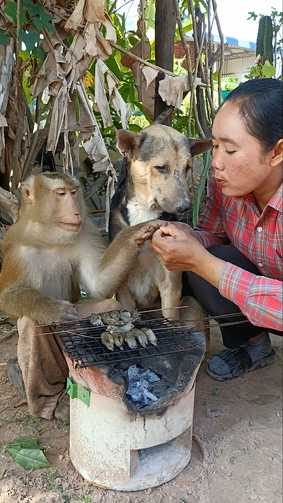 Download lagu Best Video Of SokYaa,OG, To To And Mom Are Famous & Amazing #shorts