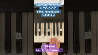 #piano #tutorial #разбор #пианино #tutorialpiano #shorts #fyp #music #love #pianomusic #trend #fy