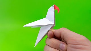 Попугай оригами. Как сделать попугая из бумаги А4 без клея и без ножниц - лёгкое оригами