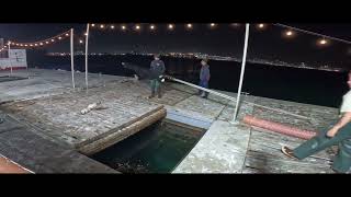 Tuna on a 1.5 day on the freedom 22nd st landing San Pedro, fishing on this amazing sea