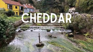 Cheddar Village | The home of Cheddar Cheese!