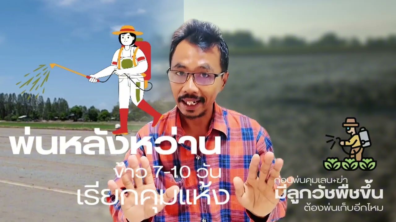 จะพ่นคุมฆ่าแต่เห็นลูกหญ้าขึ้นเต็มนาจำเป็นต้องพ่นเก็บอีกรอบไหม