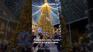 Árboles navideños en México SUPERAN al de Londres