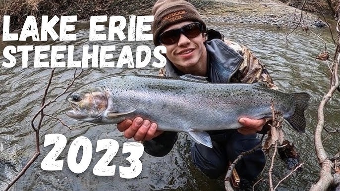 Late-January STEELHEAD & BROWNS - Float Fishing Lake Ontario