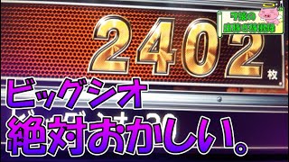 ビッグシオ 30 天井期待値 思ったよりは甘かった ビッグシオ 6号機 解析
