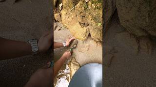 Crazy.,😱‼️discovery of gold ...