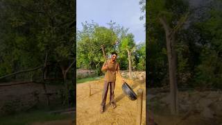 Cow manure #modernfarmer #naturalfarming #organicfarming #organic