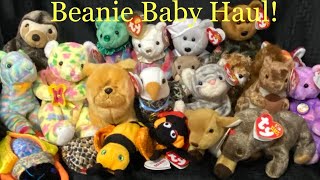 HUGE Ty BEANIE BABY haul! Adding to our collection, Unboxing Beanie Babies with Brandi