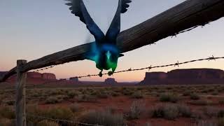 Witness the Unseen: Deep Dive into Mysterious Phenomena