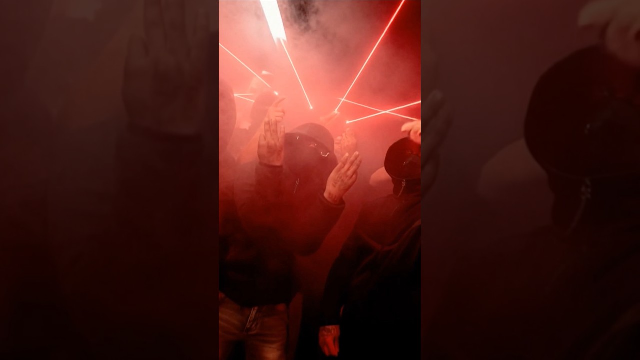 3300PQ - Топовый Аллигатор 