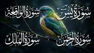4 Most Powerful Surahs for Rizq, Success, Protection, Blessings, Ruqyah | Zikrullah TV