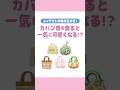 【あつ森】家具のように使えるカバン類 | bag【Animal Crossing New Horizons/island tour】