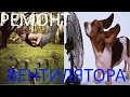 Ремонт вентилятора