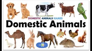 DOMESTIC ANIMALS' NAMES FOR KIDS-TODDLERS & NURSERY CHILDREN
