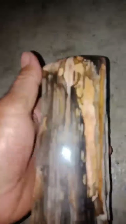 Petrified wood stone mountain contains athai Contact phone number to buy #0905296154 #shorts