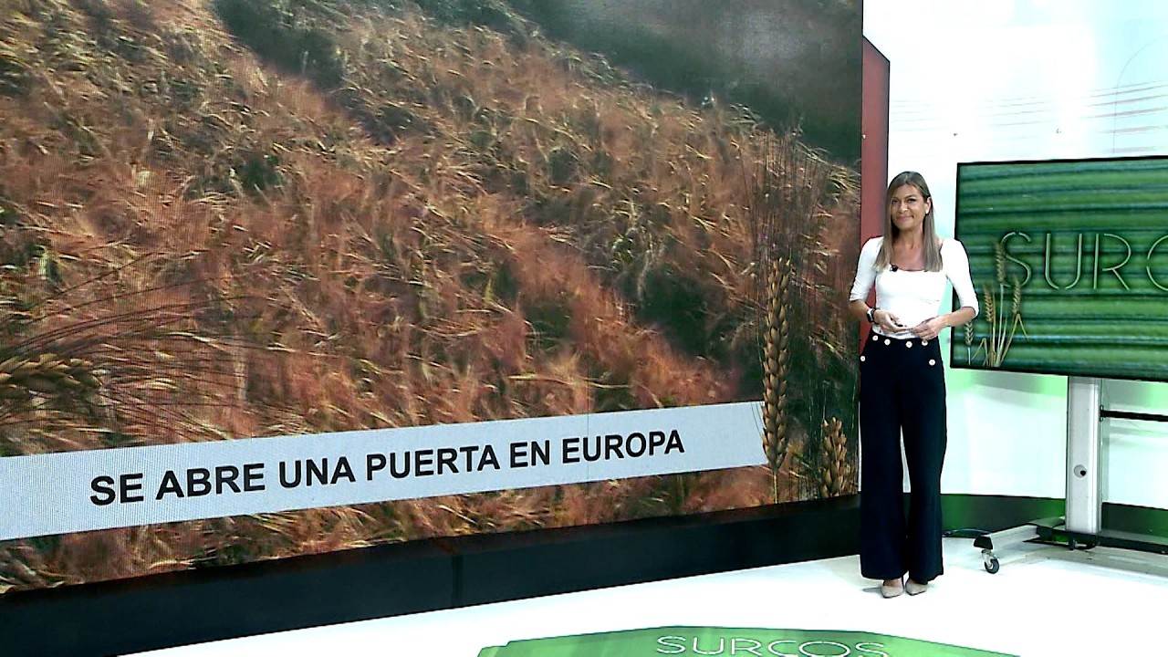 T17/E28: Europa abre la puerta a la investigación en torno a la semilla. 