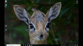 PETKA 8.8 License Activation Tutorial | PartsPilot Patcher